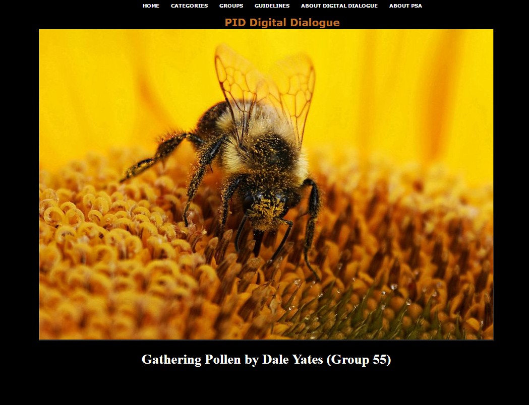 PSA Digital Dialogue