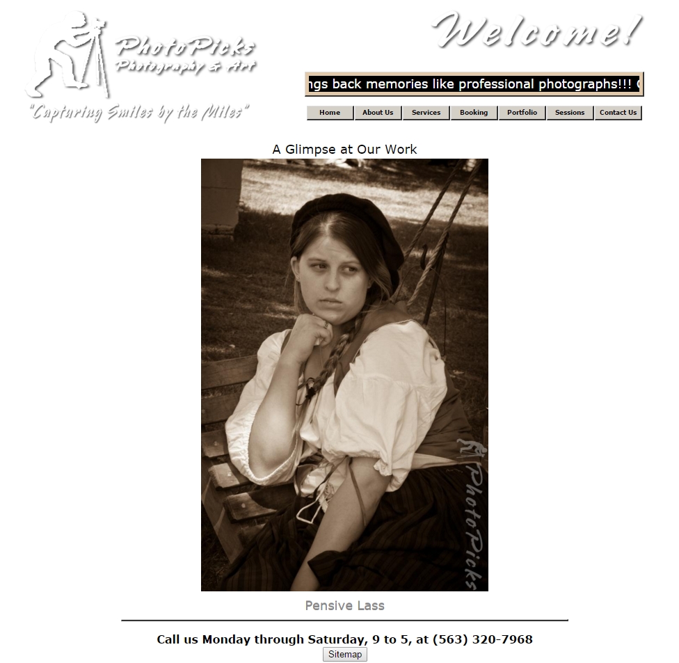 Website Snapshot for PhotoPicks Photography & Art